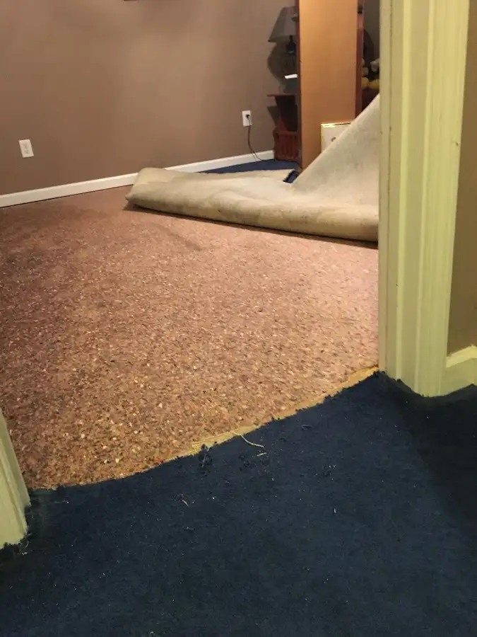 Carpet pad removal revealing water damage during Water Mitigation Services in Franklin Farm